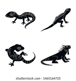 Vector design of zoo and environment sign. Collection of zoo and reptile stock vector illustration.