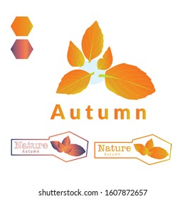 Vector designer elements Nature autumn