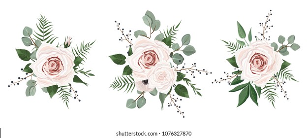 Vector designer elements set collection of green eucalyptus, art foliage natural leaves herbs in watercolor style. Decorative beauty elegant illustration for design