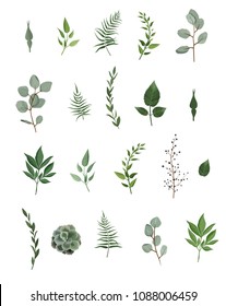 Vector designer elements set collection of green eucalyptus, art foliage natural leaves herbs in watercolor style. Decorative beauty elegant illustration for design