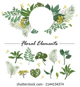 Vector designer elements set collection of green forest fern, tropical green eucalyptus greenery art foliage natural leaves herbs in watercolor style. Decorative beauty elegant illustration for design