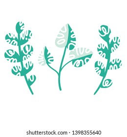 Vector designer elements set collection of green forest fern, tropical green eucalyptus greenery art foliage natural leaves herbs. Hand drawn leafs in cartoon style.