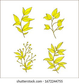 Vector designer elements set collection of green forest fern, tropical green eucalyptus greenery art foliage natural leaves herbs in watercolor style. Decorative beauty elegant illustration for design