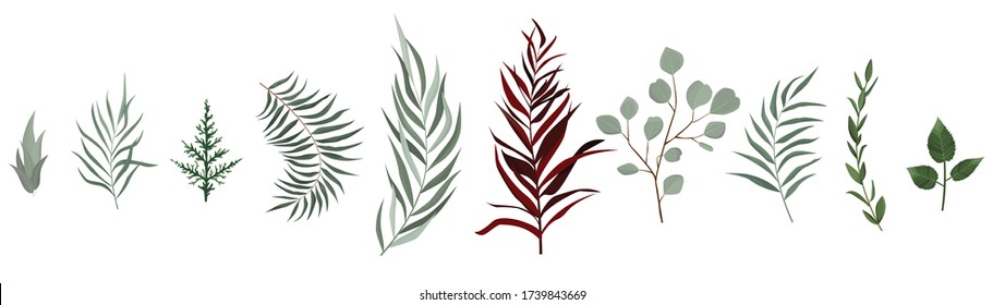 Vector designer elements set collection of greeng leaves herbs in watercolor style.