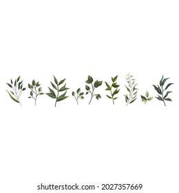Vector designer elements set collection of green forest fern, tropical green eucalyptus greenery art foliage natural leaves herbs in watercolor style. Decorative beauty elegant illustration for design