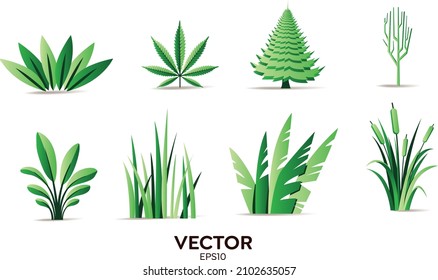 Vector designer elements set collection of green forest ferns, tropical green eucalyptus green art natural leaf herbal leaves in vector style. Decorative beauty elegant illustration for design