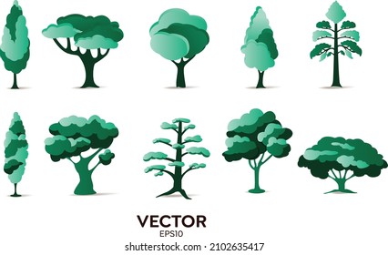Vector designer elements set collection of green jungle ferns, tropical eucalyptus art natural leaf herbal leaves in vector style. Decorative beauty elegant illustration for design