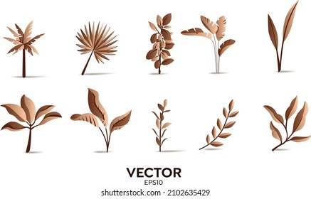 Vector designer elements set collection of green jungle ferns, tropical eucalyptus art natural leaf herbal leaves in vector style. Decorative beauty elegant illustration for design