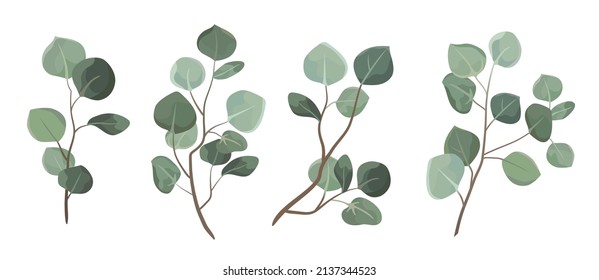 Vector designer elements set collection green eucalyptus leaves. Decorative beauty elegant illustration for design leaf in watercolor style.