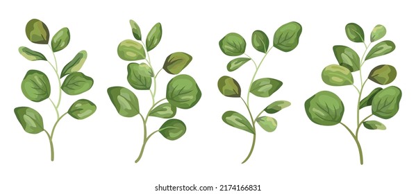 Vector designer elements set collection green branch with leaves. Decorative beauty elegant illustration for design leaf in watercolor style