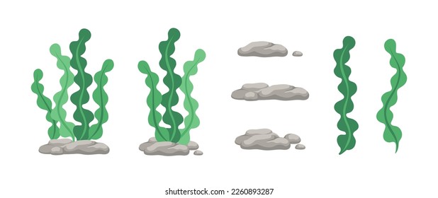 Vector designer elements set collection of green algae, sea grass, underwater seaweed plants and stones. 