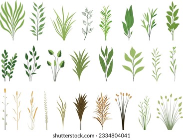 Vector designer elements set collection of green forest fern, tropical green eucalyptus greenery art foliage natural leaves herbs in watercolor style. Decorative beauty elegant illustration