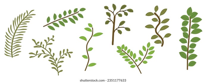 Vector designer elements set collection of green forest flowers and natural leaves herbs in watercolor style and Decorative beauty elegant illustration for design