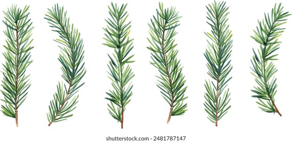 Vector designer elements set collection of green natural forest pine christmas tree needles branches greenery hand drawn in watercolor style. Decorative winter seasonal editable, isolated art bundle