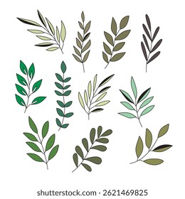 Vector designer elements set collection of green forest fern, tropical green eucalyptus greenery art foliage natural leaves herbs in cartoon style. Decorative beauty elegant illustration for design