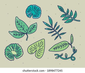 vector designer elements set . leave vector illustration . leave doodle . leave hand drawing style 