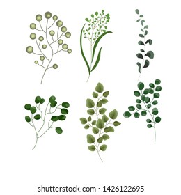 Vector designer elements setof green forest fern, tropical green eucalyptus greenery art foliage natural leaves herbs in watercolor style. Decorative beauty elegant illustration for design, wedding an