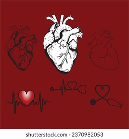Diseños vectores del corazón, su indicador de latido y un estetoscopio