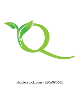 Vector Designs Initial Q with Green Leaf
