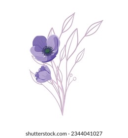 Vector detailed drawing of spring iris flowers and buds.