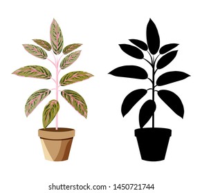 Vector detailed house plant for interior design and decoration.Tropical plant for interior decor of home or office.