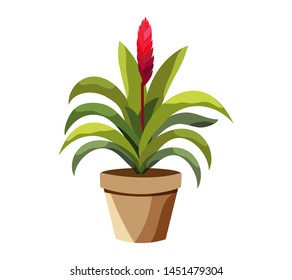 Vector detailed house plant for interior design and decoration.Tropical plant for interior decor of home or office.