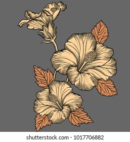 Vector detailed illustration of  blooming exotic flowers. High quality illustration in sketch style with black outline. Elegant and romantic drawing. hand drawn. Sketchy style, black outline  