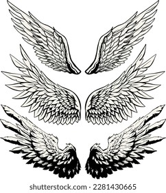 vector detailed powerful angel wings