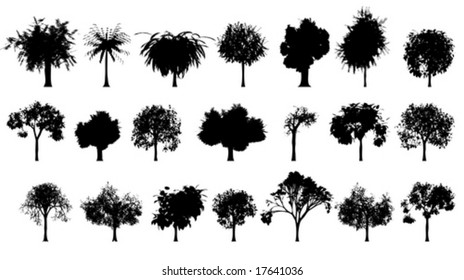 vector detailed trees