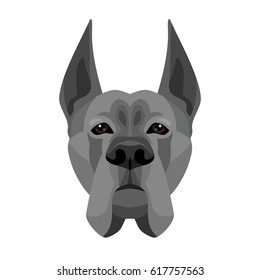 Vector deutsche dog breed face icon  symbol of new 2018 year isolated on white background 