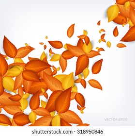 Vector diagonal golden autumn leaves background