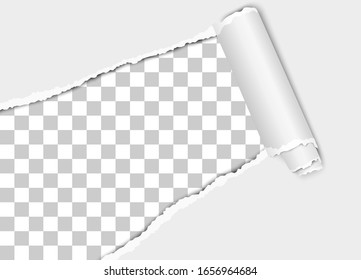 Vector diagonally torn hole in white sheet of paper from lower left to upper right corner with paper curl