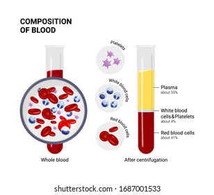 Vector Diagram Of Blood Composition.