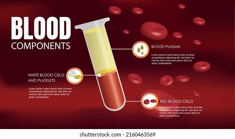 Vector Diagram Of Blood Composition.
