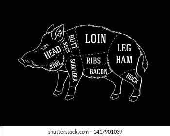 Vector diagram butcher guide for cutting wild boar meat in black and white chalk style