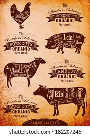 Vector Diagram Cut Carcasses Of Chicken, Pig, Cow, Lamb