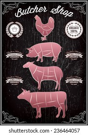 vector diagram cut carcasses of chicken, pig, cow, lamb