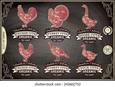 vector diagram cut carcasses chicken, turkey, goose, duck