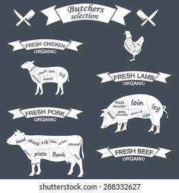 vector diagram cut carcasses of chicken, pig, cow, lamb. Vector Illustration