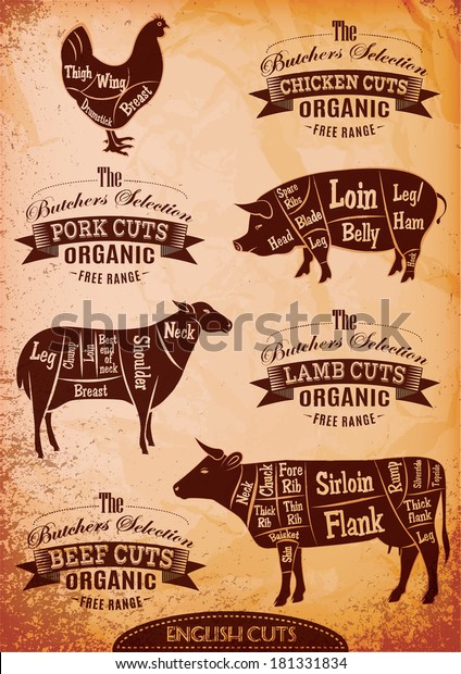 vector\
diagram cut carcasses of chicken, pig, cow,\
lamb