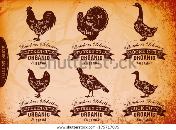 vector\
diagram cut carcasses chicken, turkey, goose,\
duck