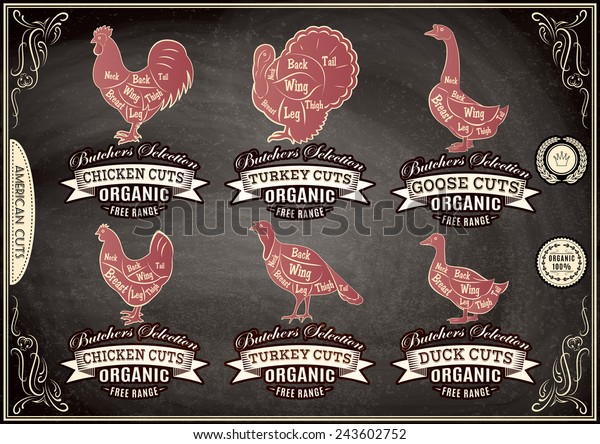 vector\
diagram cut carcasses chicken, turkey, goose,\
duck