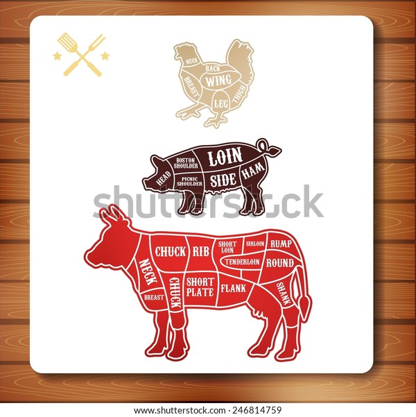vector diagram
cut carcasses of chicken, pig,
cow