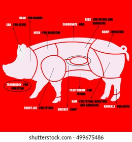 vector diagram cutting pork
