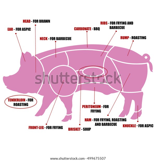 Vector Diagram Cutting Pork Stock Vector (Royalty Free) 499675507 ...