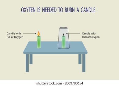 oxygen is needed for burning experiment