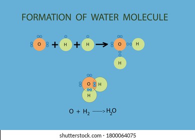 Vector Diagram, Formation Of Water Molecule