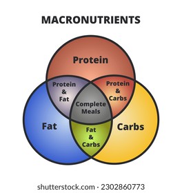Vector diagram of macronutrients – protein, fat, and carbs or carbohydrates in three circles. The intersection of three sets. Dieting and healthy eating. Macro cheat sheet isolated on white background