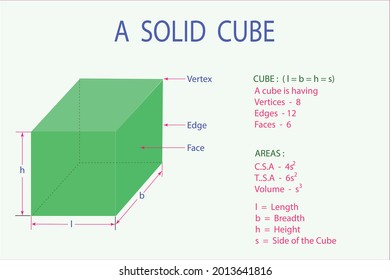 vector diagram of shape and characteristics of a solid cube