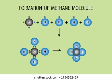 vector diagram to show the formation of methane molecule